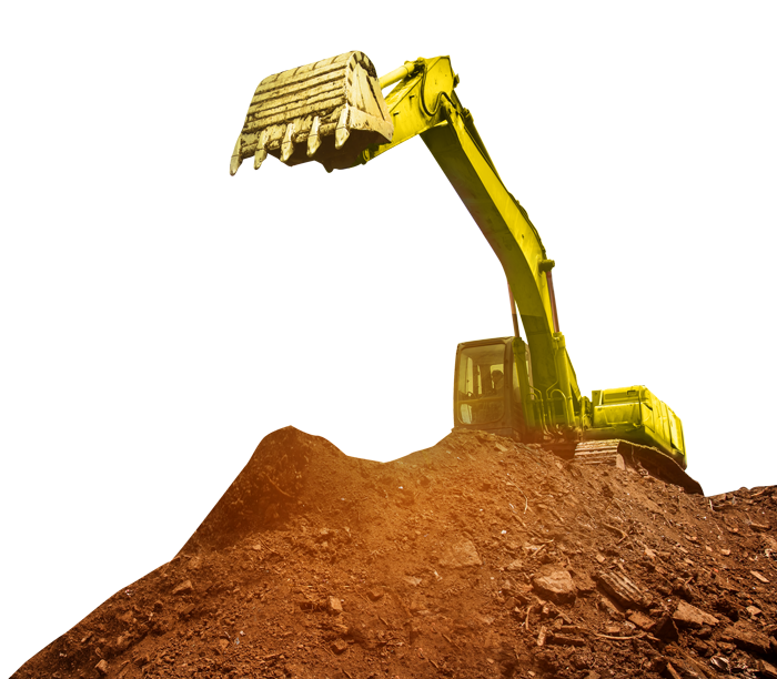 Our Management Element